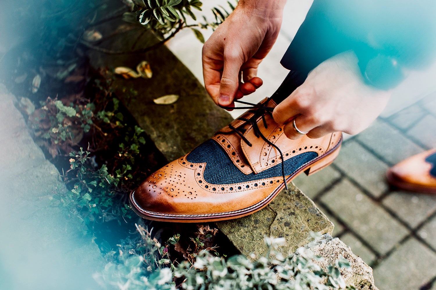 Tan and Tweed Brogues 